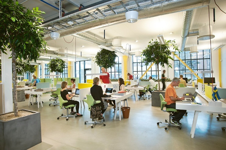design perfect co-working environment.jpg